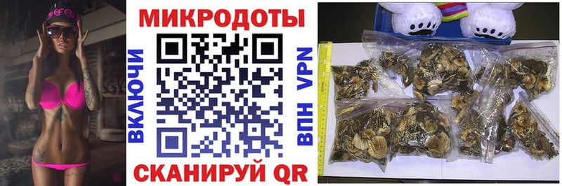 Купить закладки  Фокино  Галлюциногенные грибы Magic Shrooms 